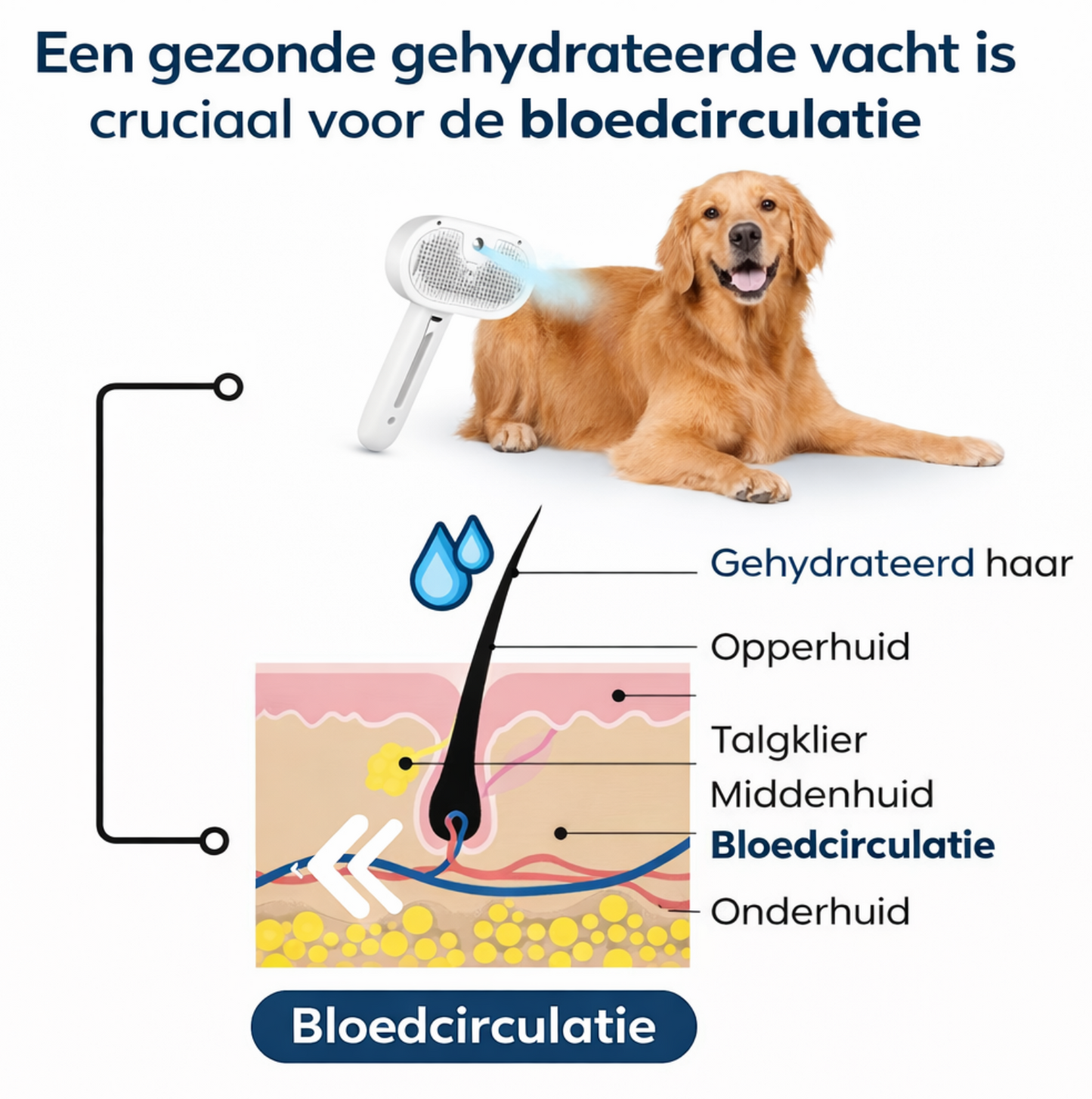 Professionele Honden en Kattenborstel – Verwijdert losse haren en vermindert verharing voor alle vachtsoorten