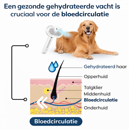 Professionele Honden en Kattenborstel – Verwijdert losse haren en vermindert verharing voor alle vachtsoorten